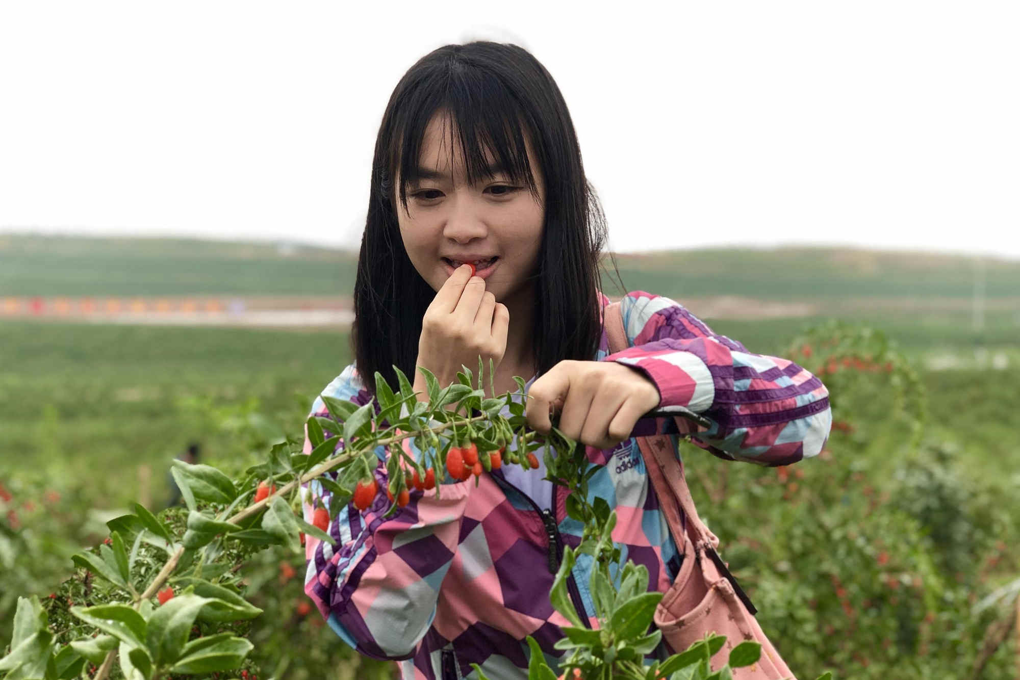 20190711085305642.jpg