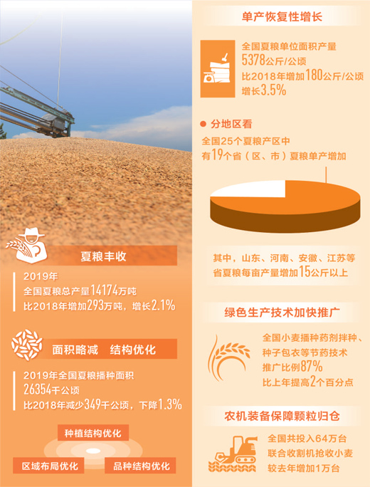 量增质优 夏粮喜获丰收