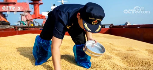 首批俄罗斯大豆进入中国市场