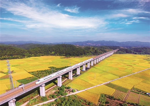 广西梧州市龙圩区种植富硒稻增收致富