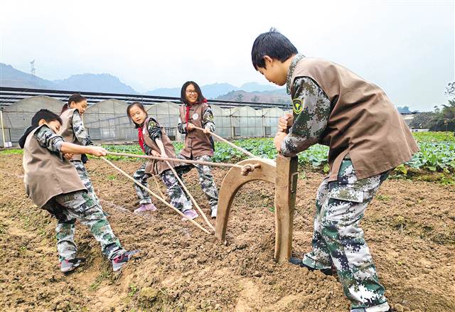 重庆举行首届乡村学校少年宫学生劳动技能大赛