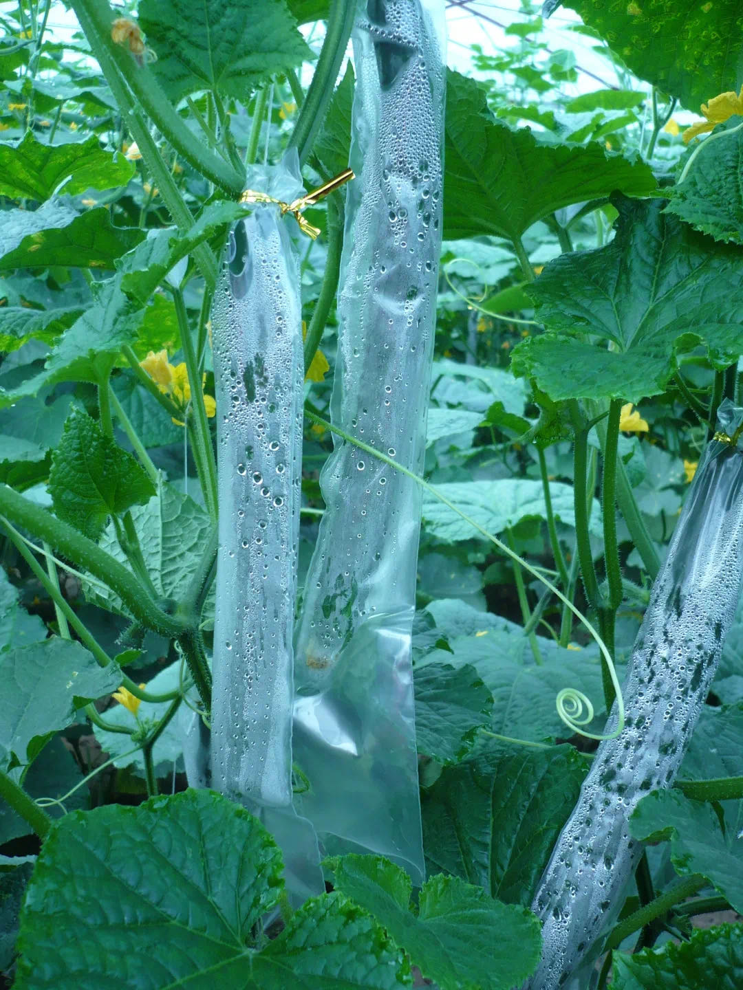 20210521171126739.jpg