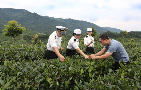 安化黑茶何靖黄金茶获批筹建国家地理标志产品保护示范区