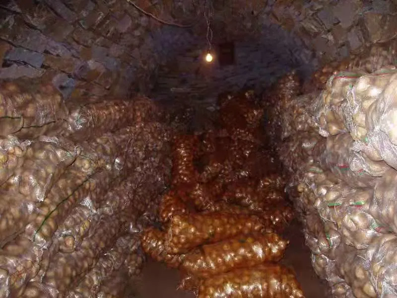 20211013143747110001.png