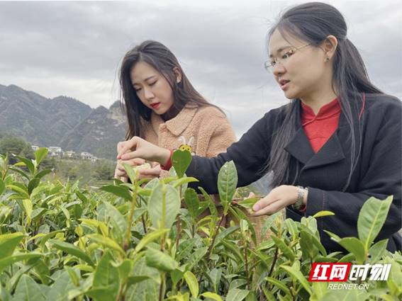 說明: https://img.rednet.cn/2021/11-12/89db253f-2b57-4f1c-86f0-d6d23bf11897.jpg