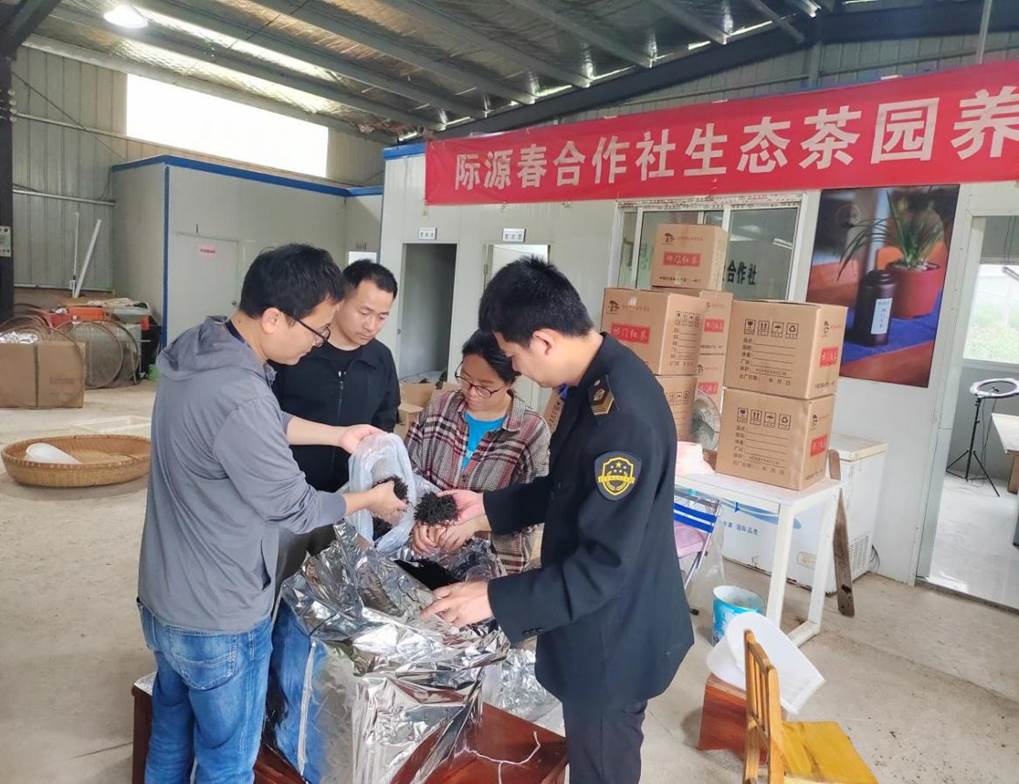 5ED2756C0701E894A7C96C7F159AE7D5