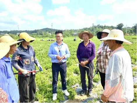 湖北宜都市泉水河村依托政府引进农企项目为抓手推动农旅融合发展(4)(1)1086.png