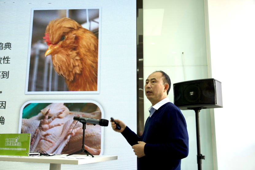家禽专场-新闻稿0303427.png