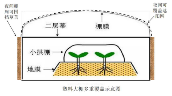 20230306【技术推广站】塑料大棚瓜果类蔬菜定植期技术指导意见1338.png