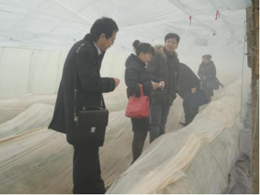 20230306【技术推广站】塑料大棚瓜果类蔬菜定植期技术指导意见1561.png
