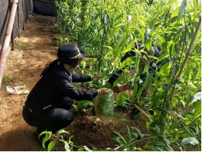 0946408735051852.png fd69ee9bfe1135b1aba802ed5b75b1d4_3ef64c802fce89fa66d3dbd96d855d2f_8161.png