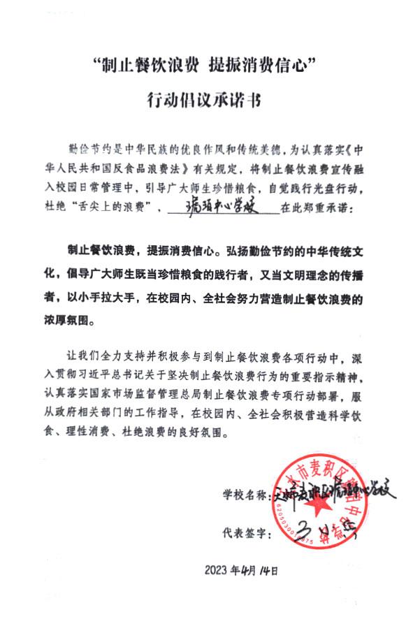 天水市麦积区琥珀中心学校.jpg