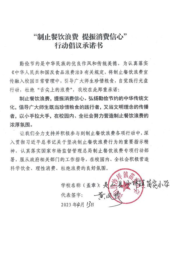 灵山县沙坪镇苗实小学.jpg