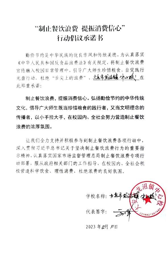 大安市龙沼镇中心校.jpg