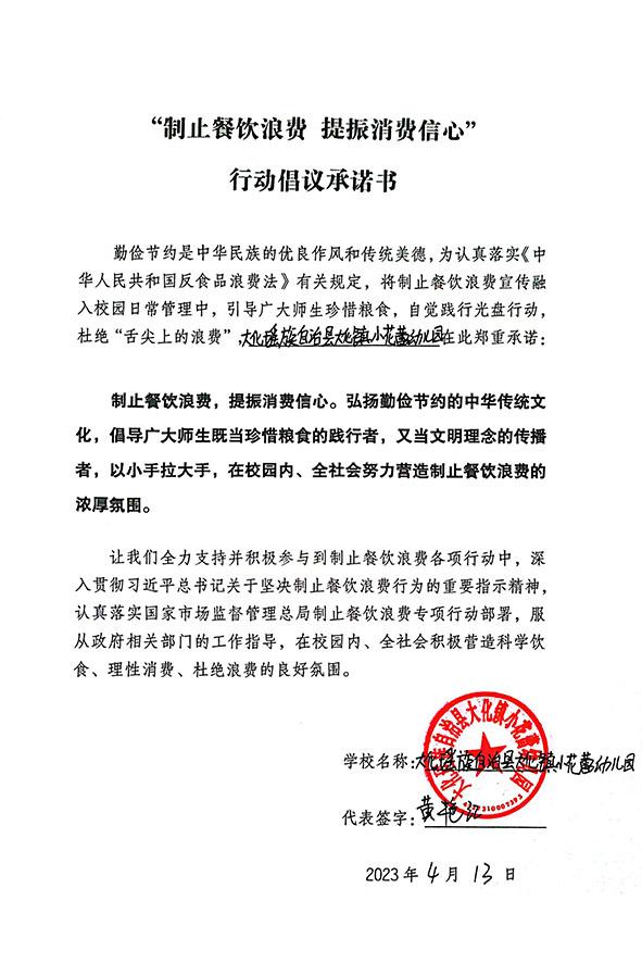 大化瑶族自治县大化镇小花蕾幼儿园.jpg