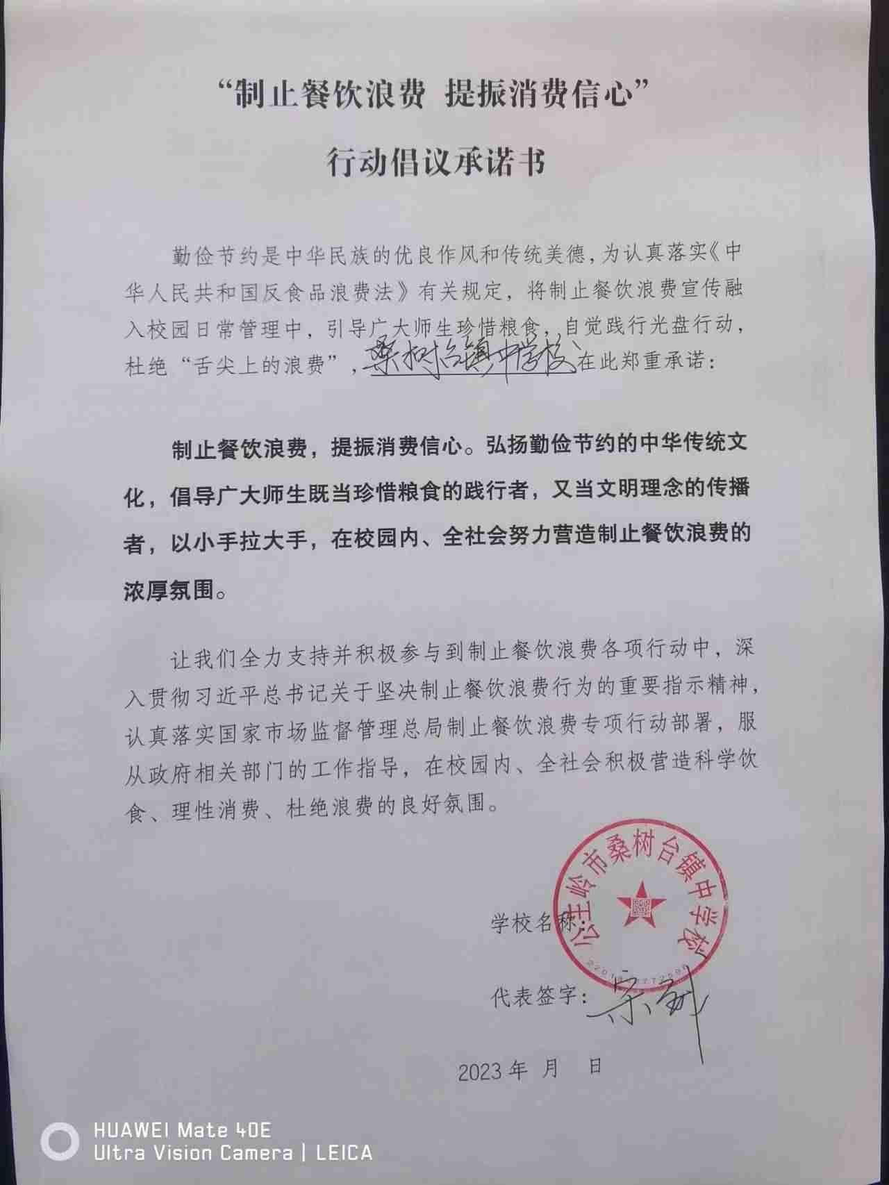桑树台-桑树台镇中学校.jpg