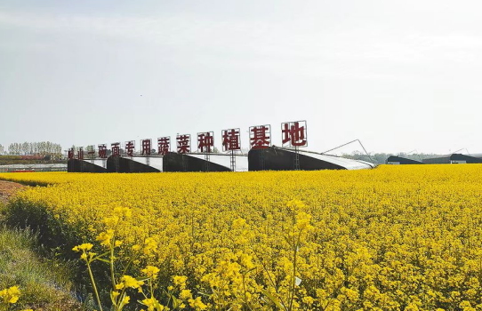 图片6.png