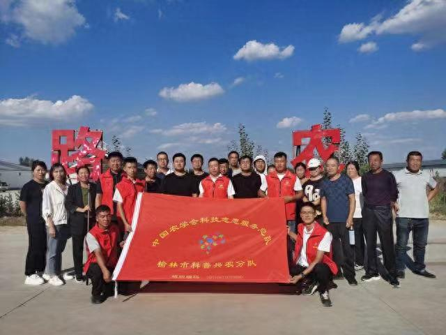 图片11.png