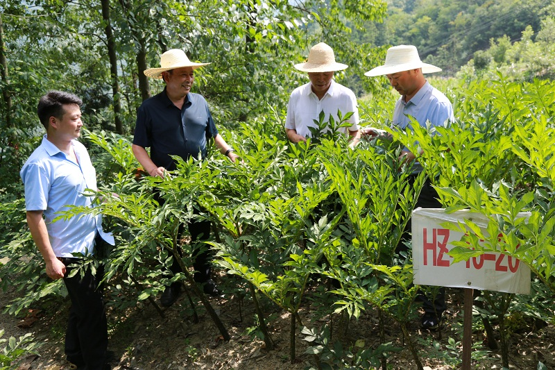 图片2.png