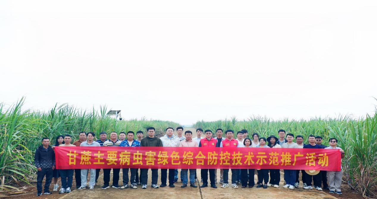 图片6.png