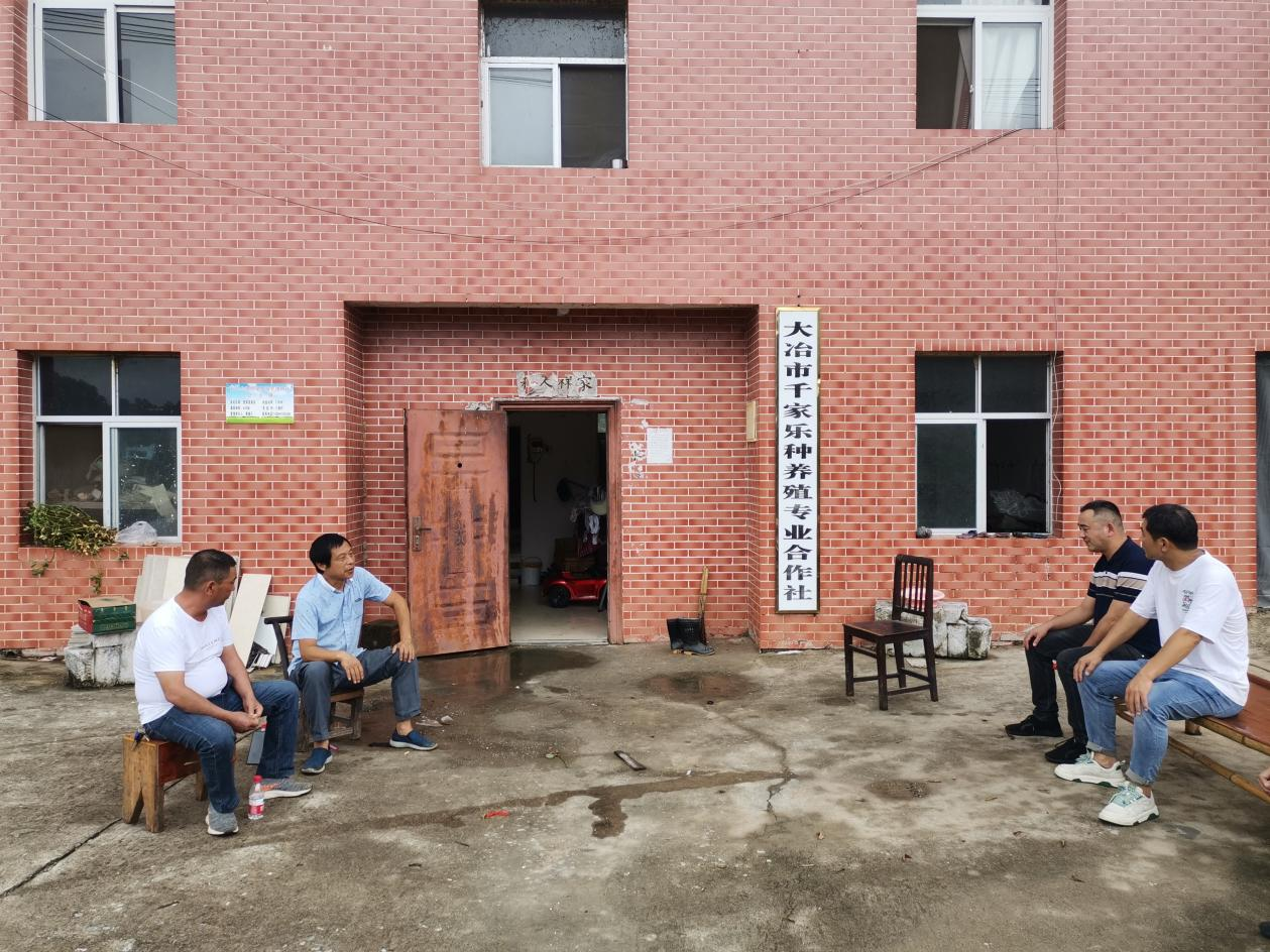 大冶刘仁八镇村民董魁斗回乡创业带动产业扶贫