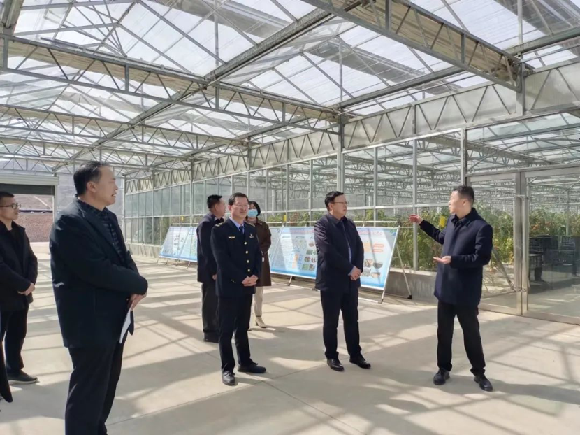 平凉市食药安办督查调研灵台县国家食品安全示范城市创建工作