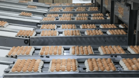 1724562270234194.png 1658.png